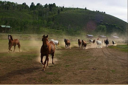 Parade Rest Ranch West Yellowstone Ngoại thất bức ảnh